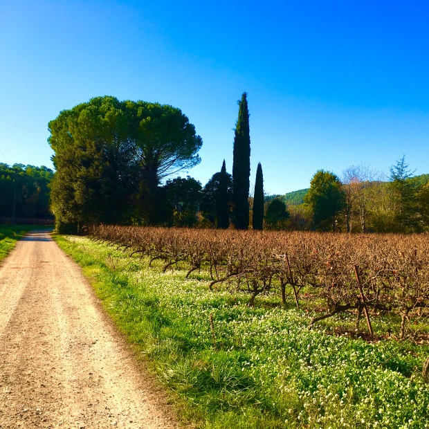 living Tuscany & Provence Nunan-Cartwright